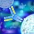 Primary And Secondary Antibodies: How They Differ?