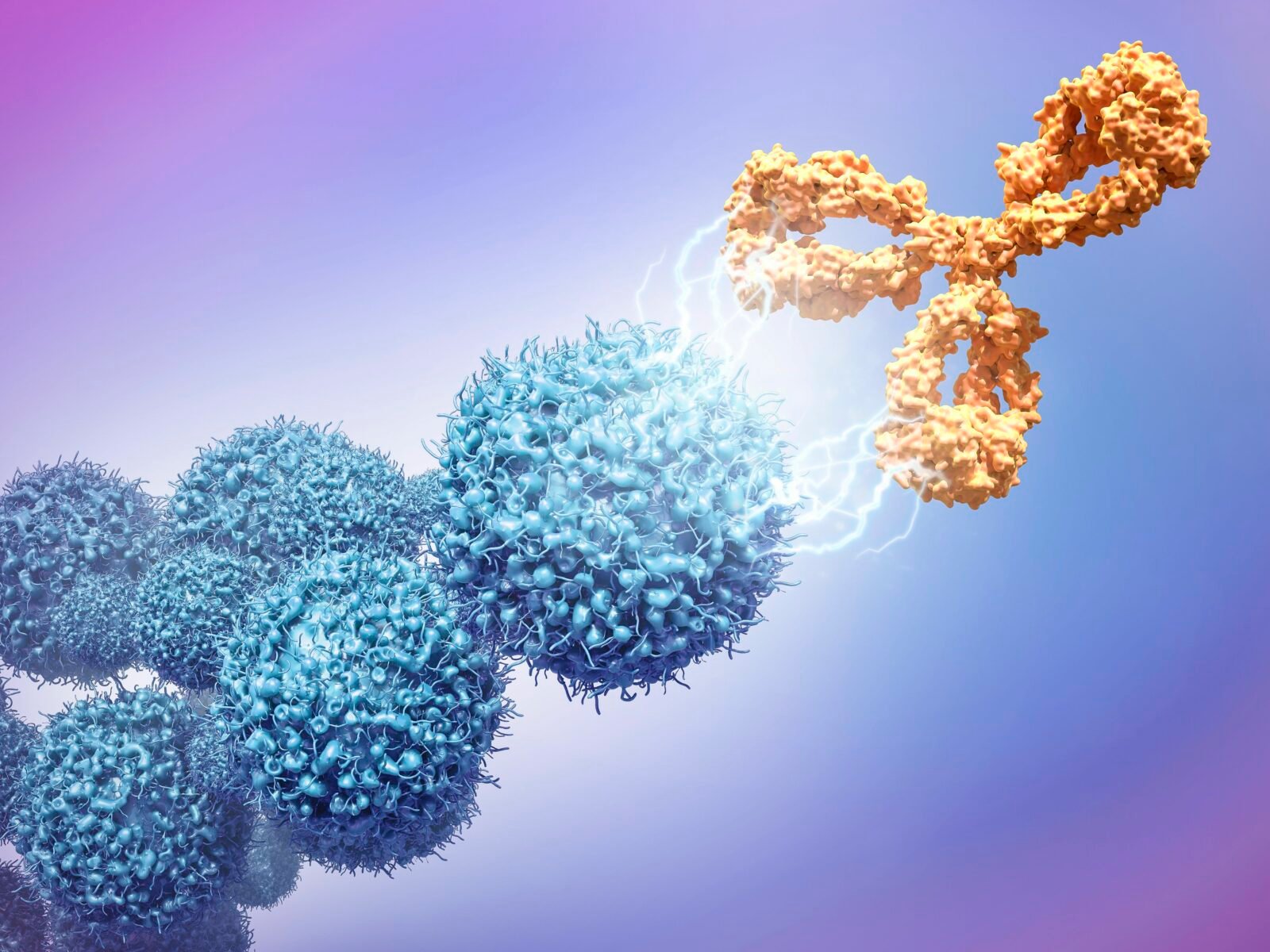 Challenges In The Development of Therapeutic Antibody