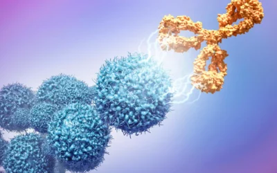 Challenges In The Development of Therapeutic Antibody