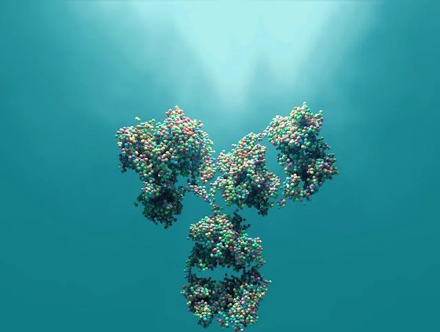 antibody-engineering-services