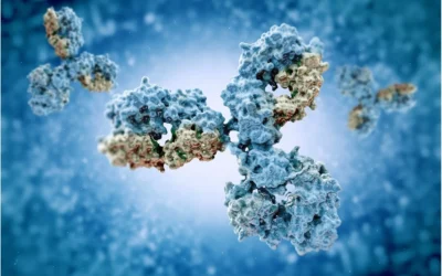 The Journey Of Antibody: From The Magic Bullet To Bedside Drug