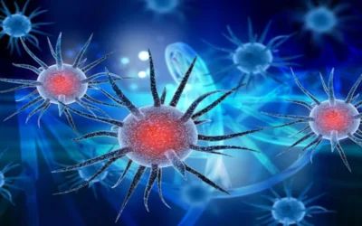 What is the role of TNF alpha in autoimmune disease