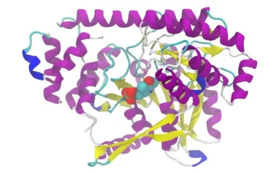 Expression & Purification of Histidine Tag and Tagless TNF alpha- Recombinant Protein