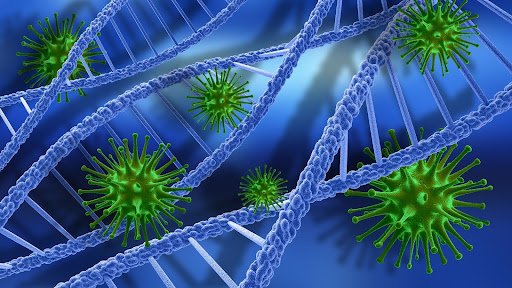 Humanized Monoclonal Antibodies in Infectious Disease Vaccines